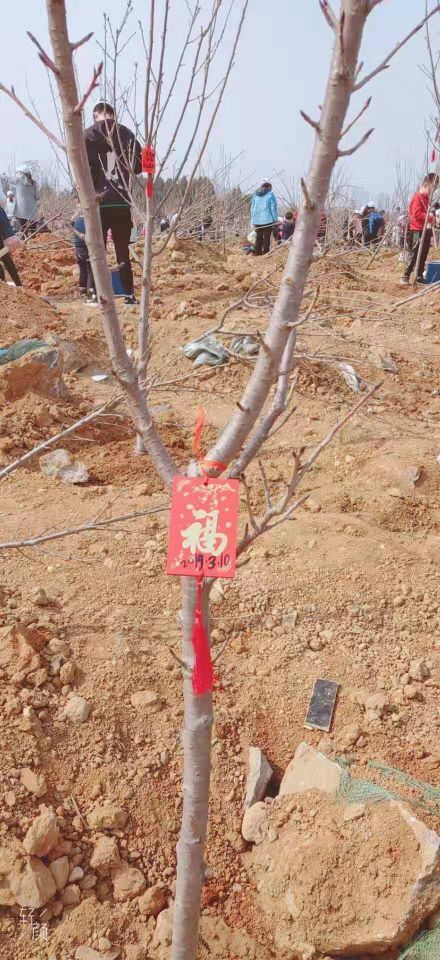 20190311661070.jpg QQ圖片20190311115225.jpg