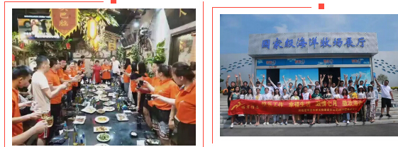 濟(jì)南全網(wǎng)營(yíng)銷(xiāo)推廣